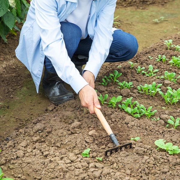 Farming